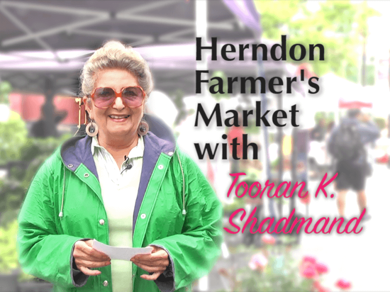 Herndon Farmer's Market with Tooran K. Shadman